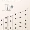 61rkp6mqveL._AC_SL1500_ Teleskopinė kampinė dušo lentyna su 4 lentynėlėmis, 85–305 cm, balta – SONGMICS