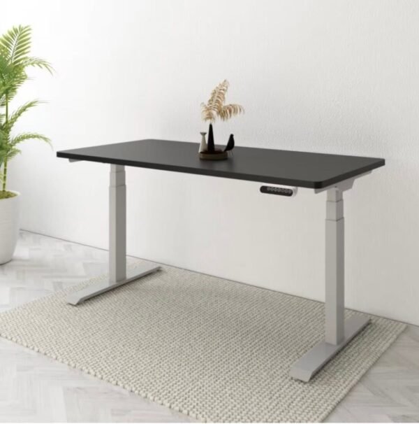 120x60cm darbo stalo, rašomojo stalo stalviršis Flexyspot