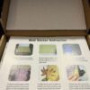 3D sienų dekoracija „Šeimos medis“ su 11 nuotraukų rėmelių, juoda