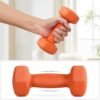 Hantelių rinkinys 2 × 1,5 kg, šešiakampiai su neopreno danga – SONGMICS